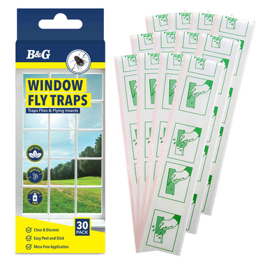 B&G Window Fly Trap Clear 30-packpackaging and traps